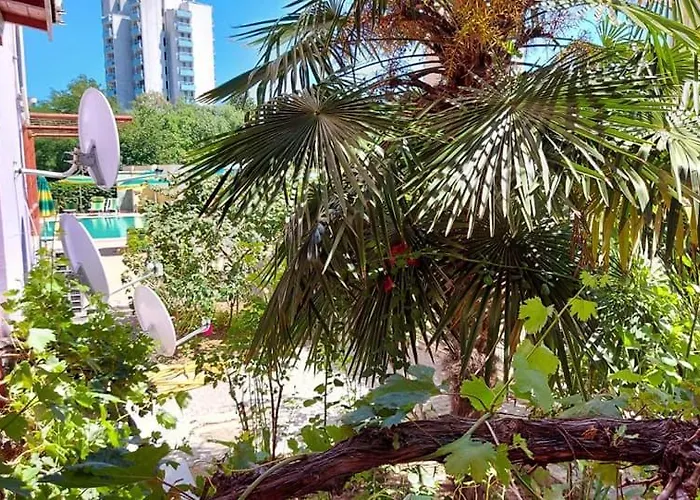 златна дюна-фешева Несебър